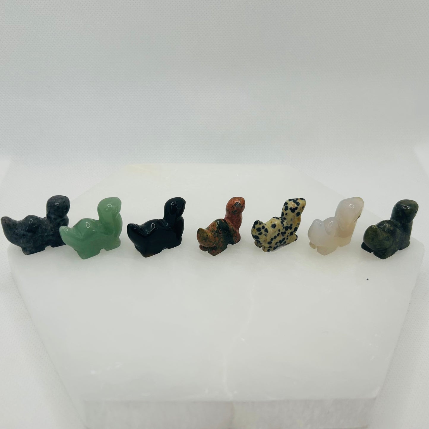 Dinosaur Carvings