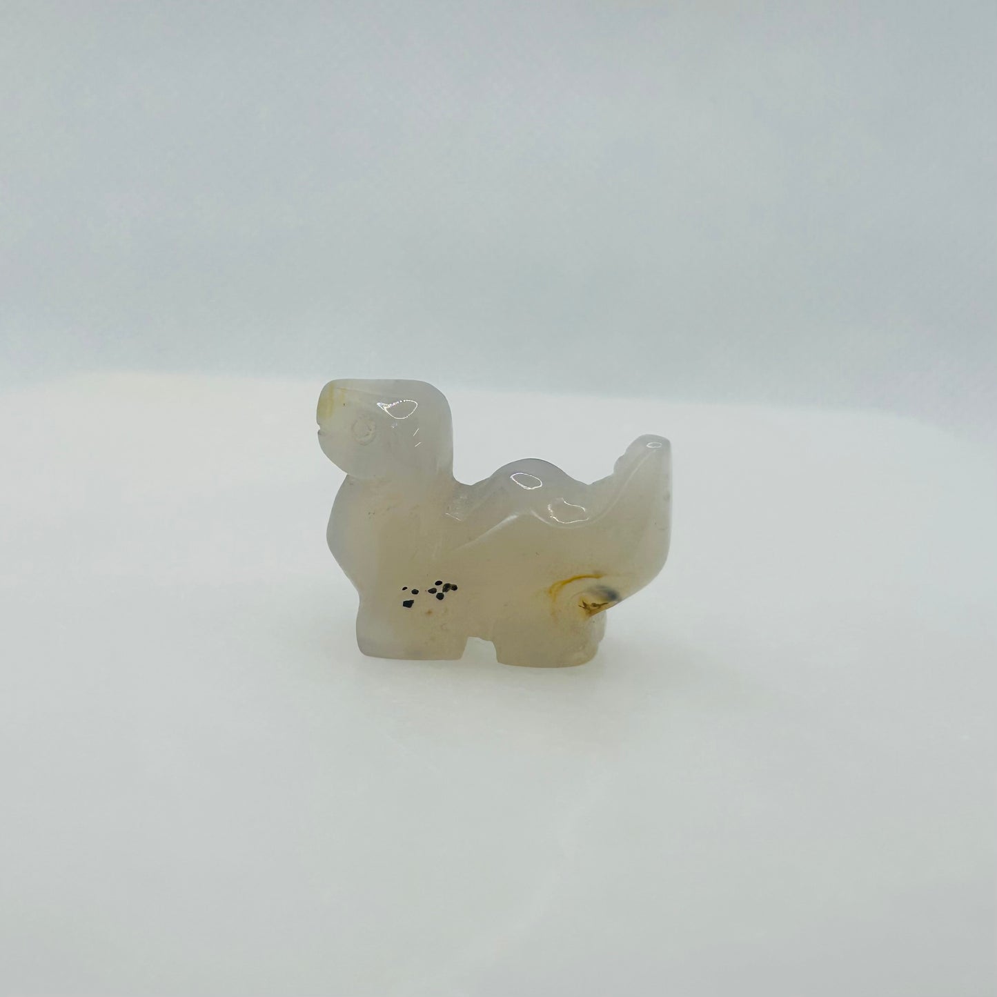 Dinosaur Carvings