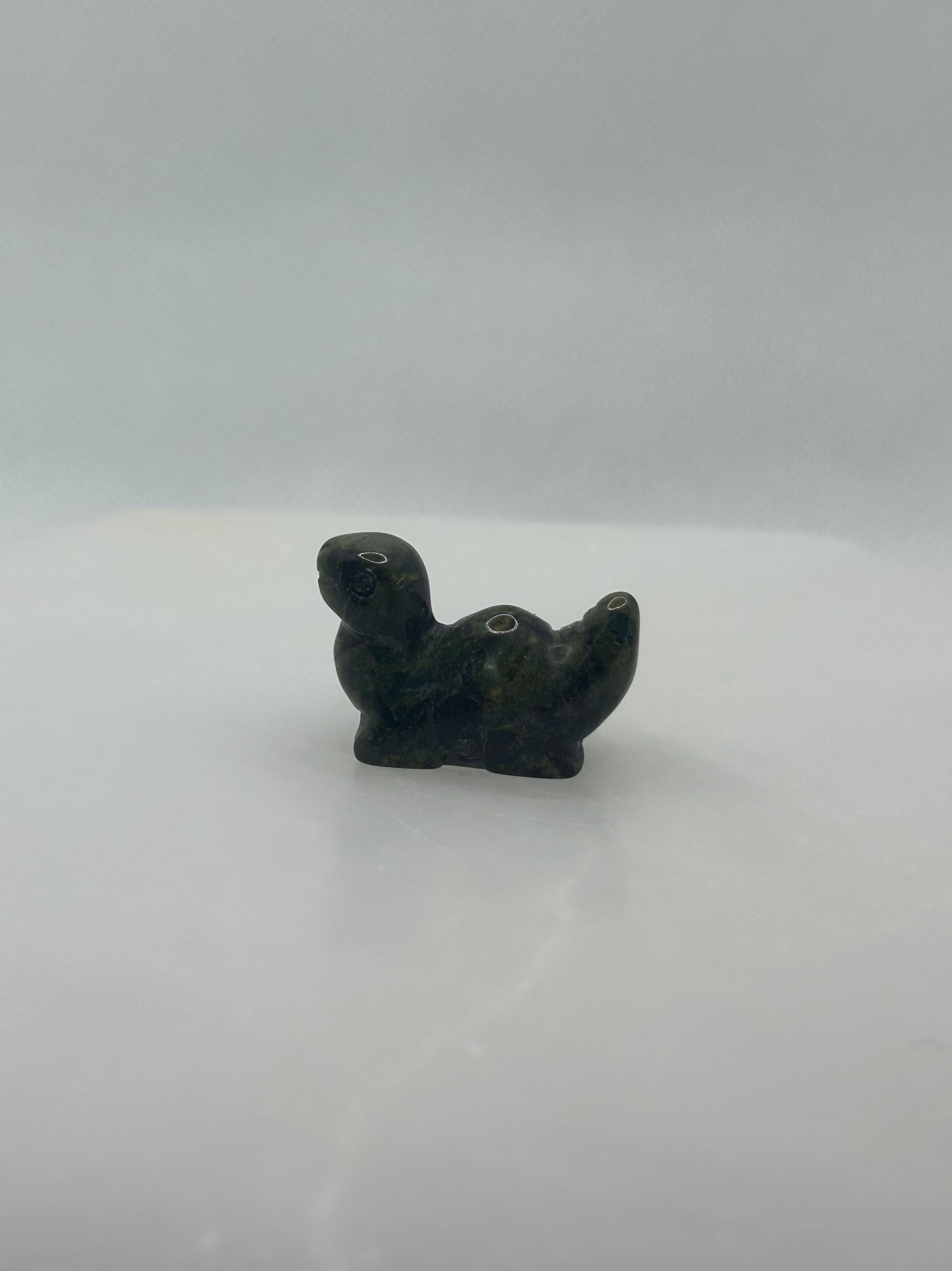 Dinosaur Carvings