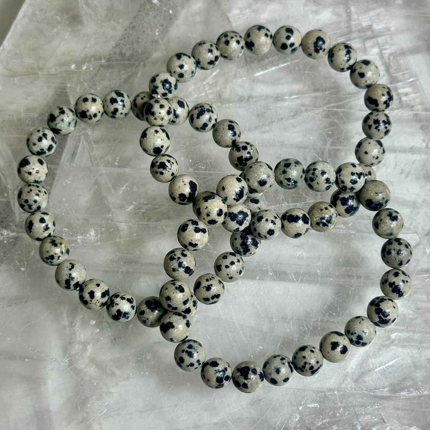 Dalmation Jasper 8mm Bracelets