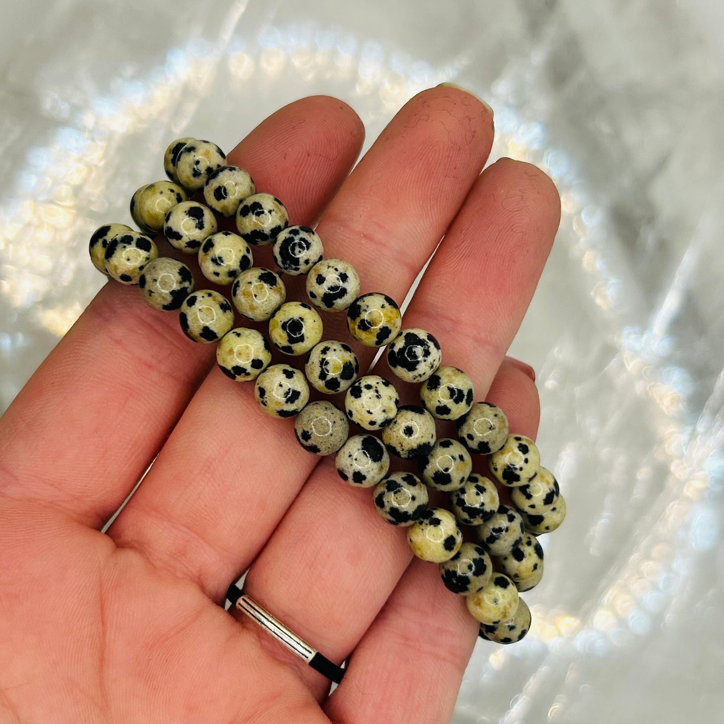 Dalmatian Jasper 6mm Bracelet