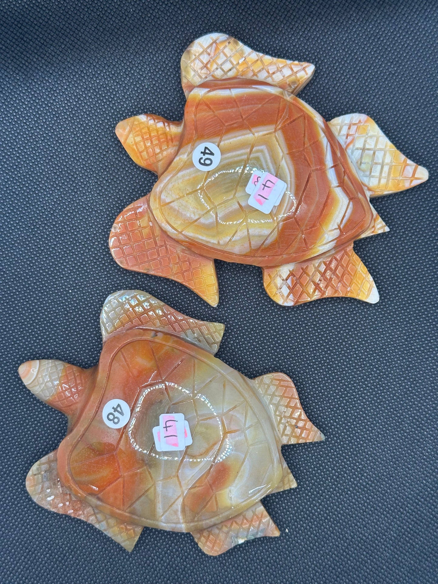 Carnelian Turtles