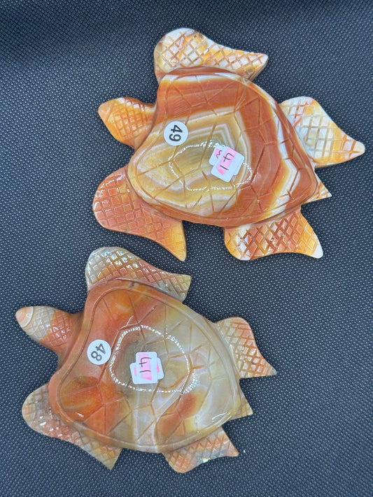 Carnelian Turtles