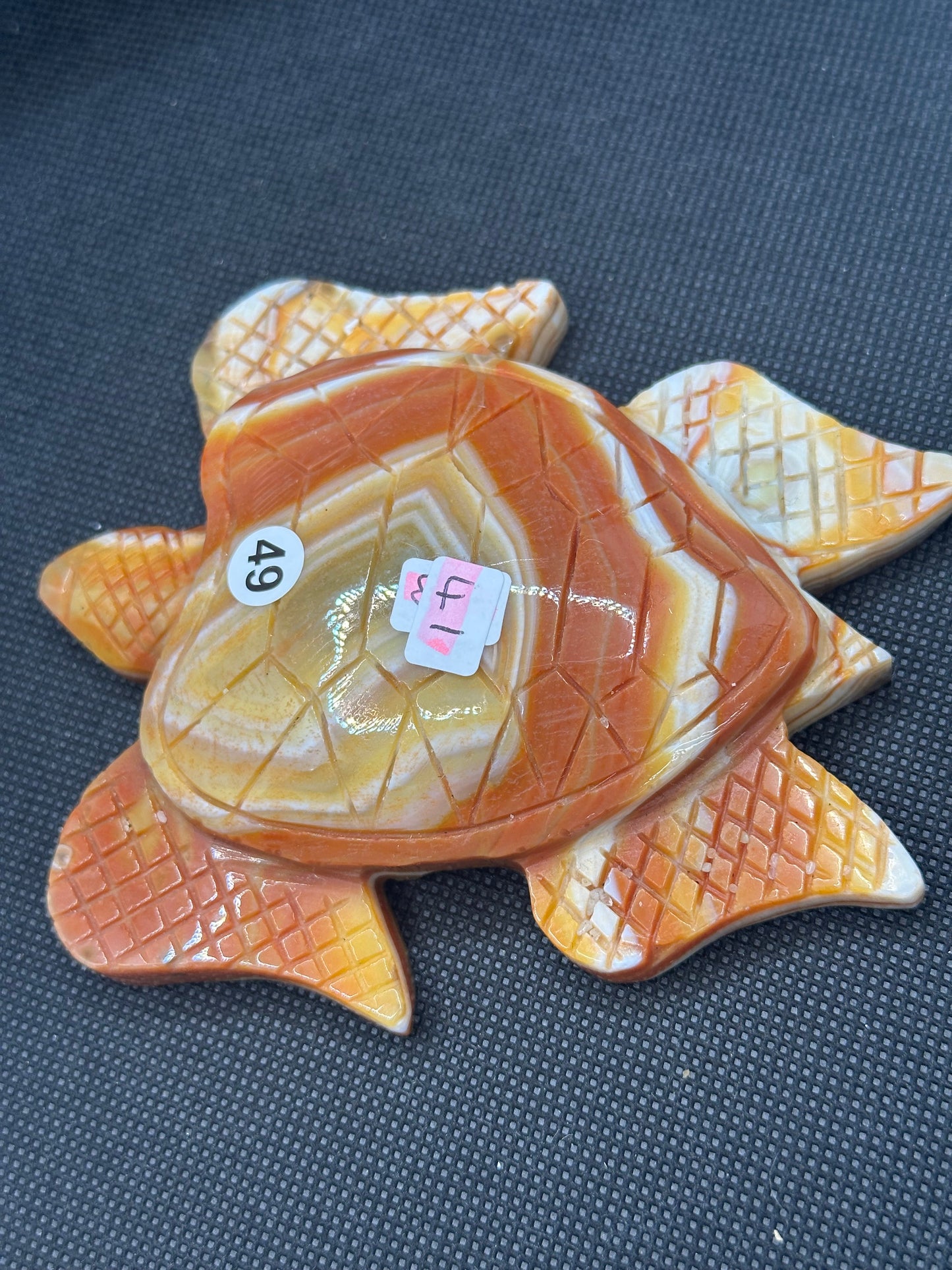 Carnelian Turtles