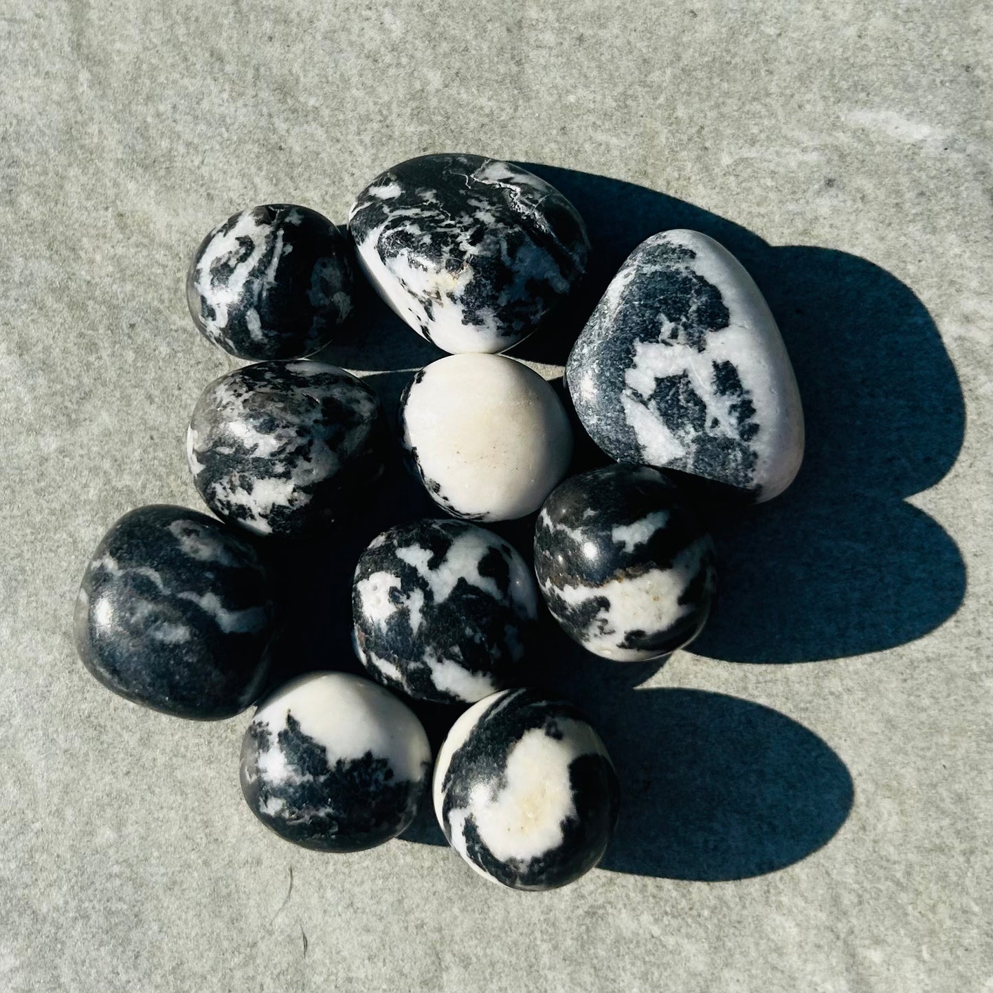 Zebra Jasper