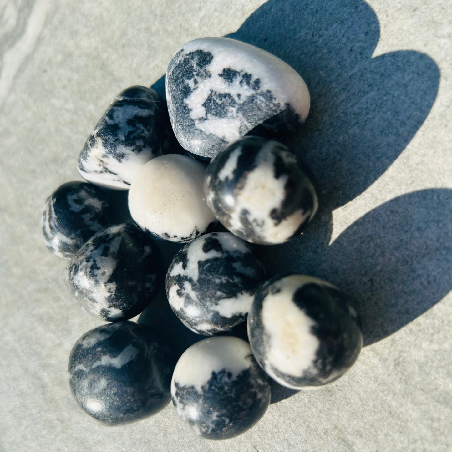 Zebra Jasper