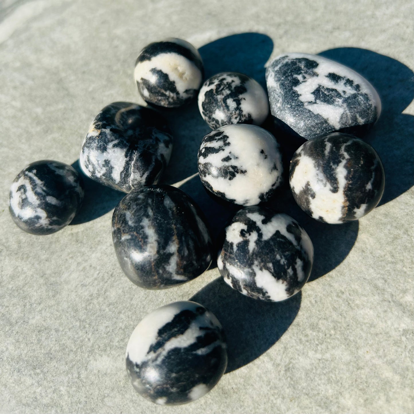 Zebra Jasper