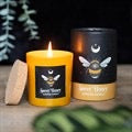 Forest Bee Sweet Honey Candles