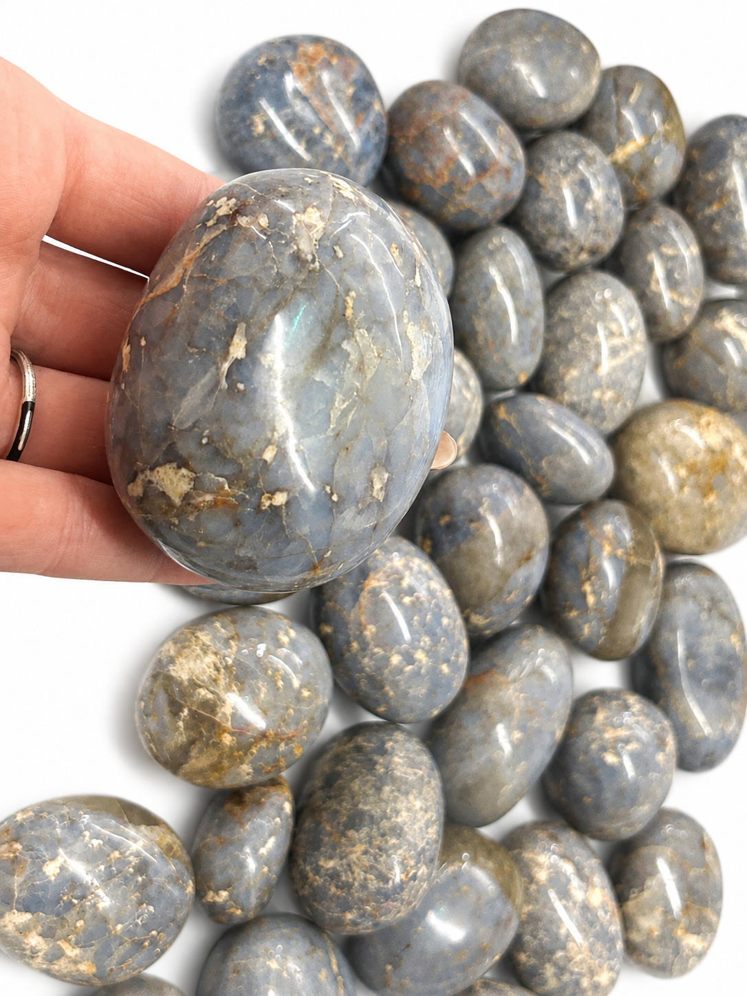 Chalcedony Palm Stone