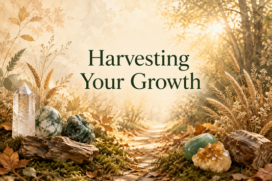 Harvesting Your Growth: Honouring How Far You’ve Come 🌿