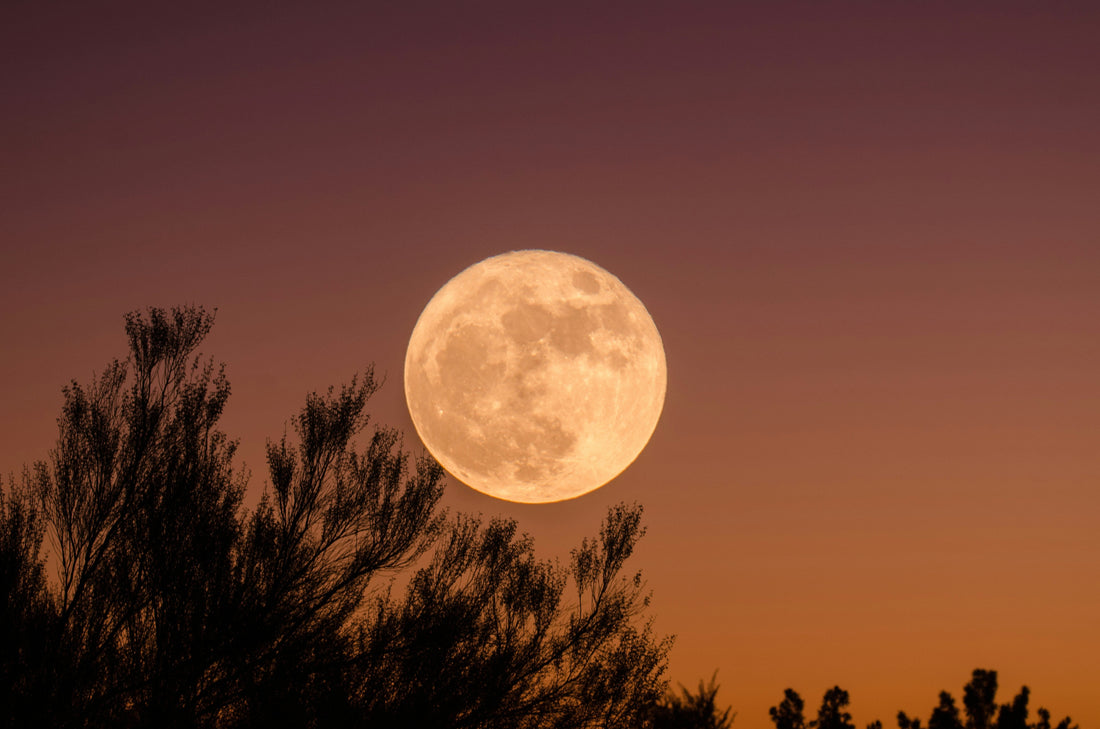 The Buck Full Moon: Dates, Spiritual Meanings, Crystals, and Rituals