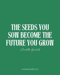 🌱 Planting Seeds: Intention & New Beginnings