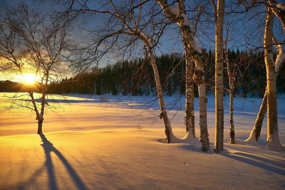 Awakening from Winter