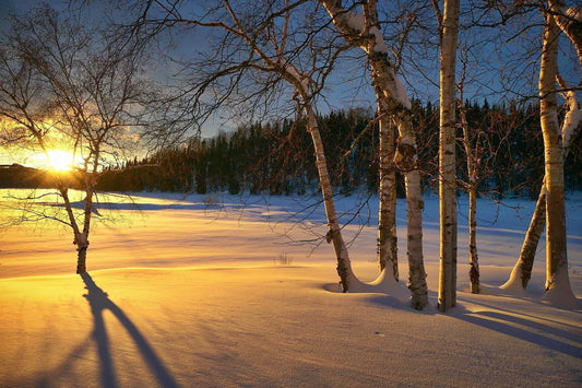 Awakening from Winter