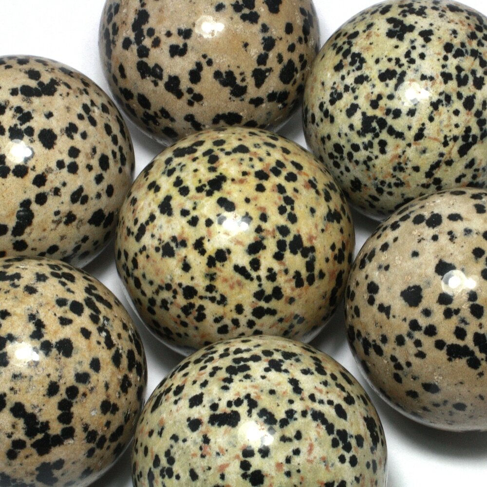 Dalmatian Jasper