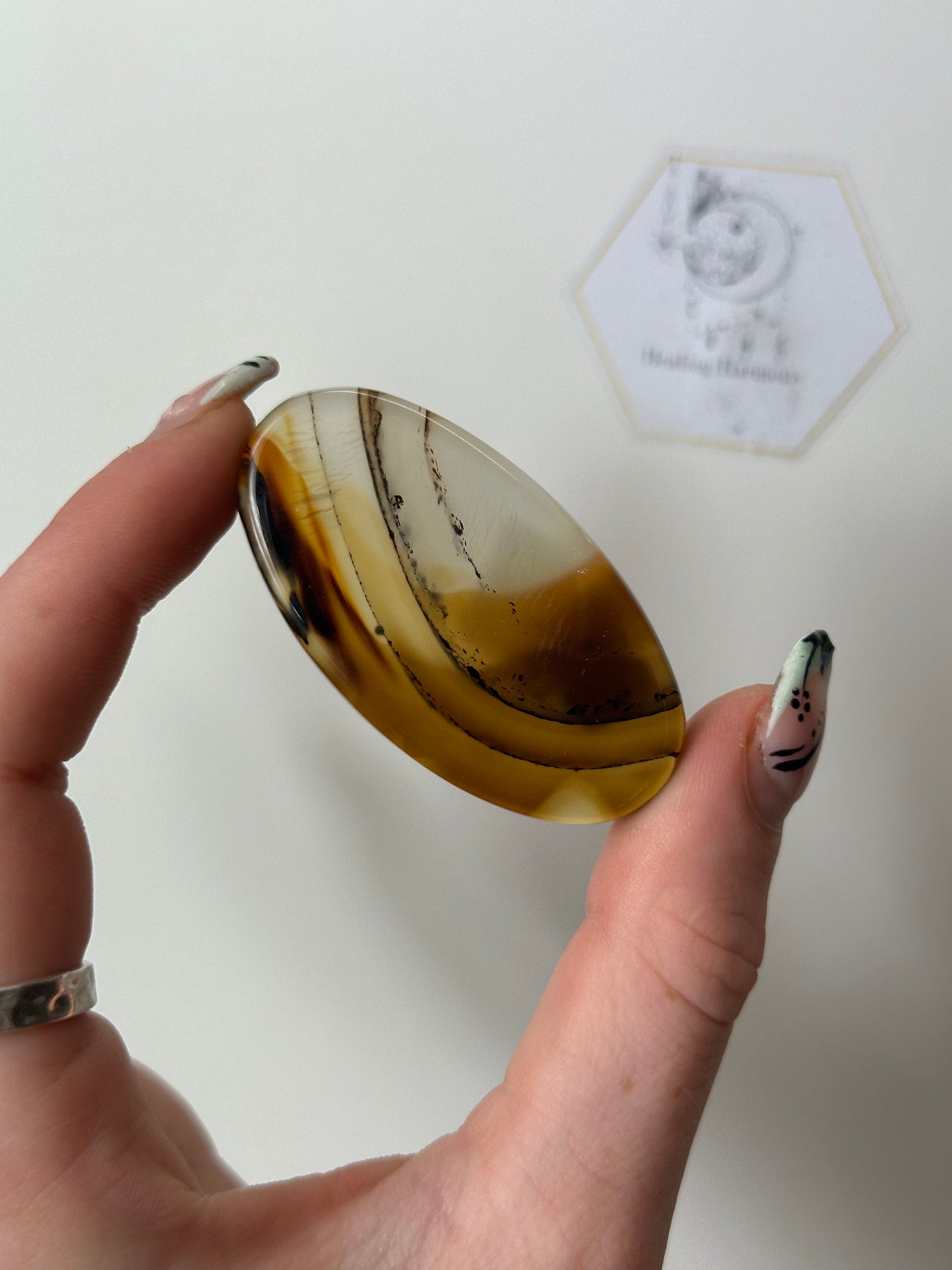 Dentric Agate Palm