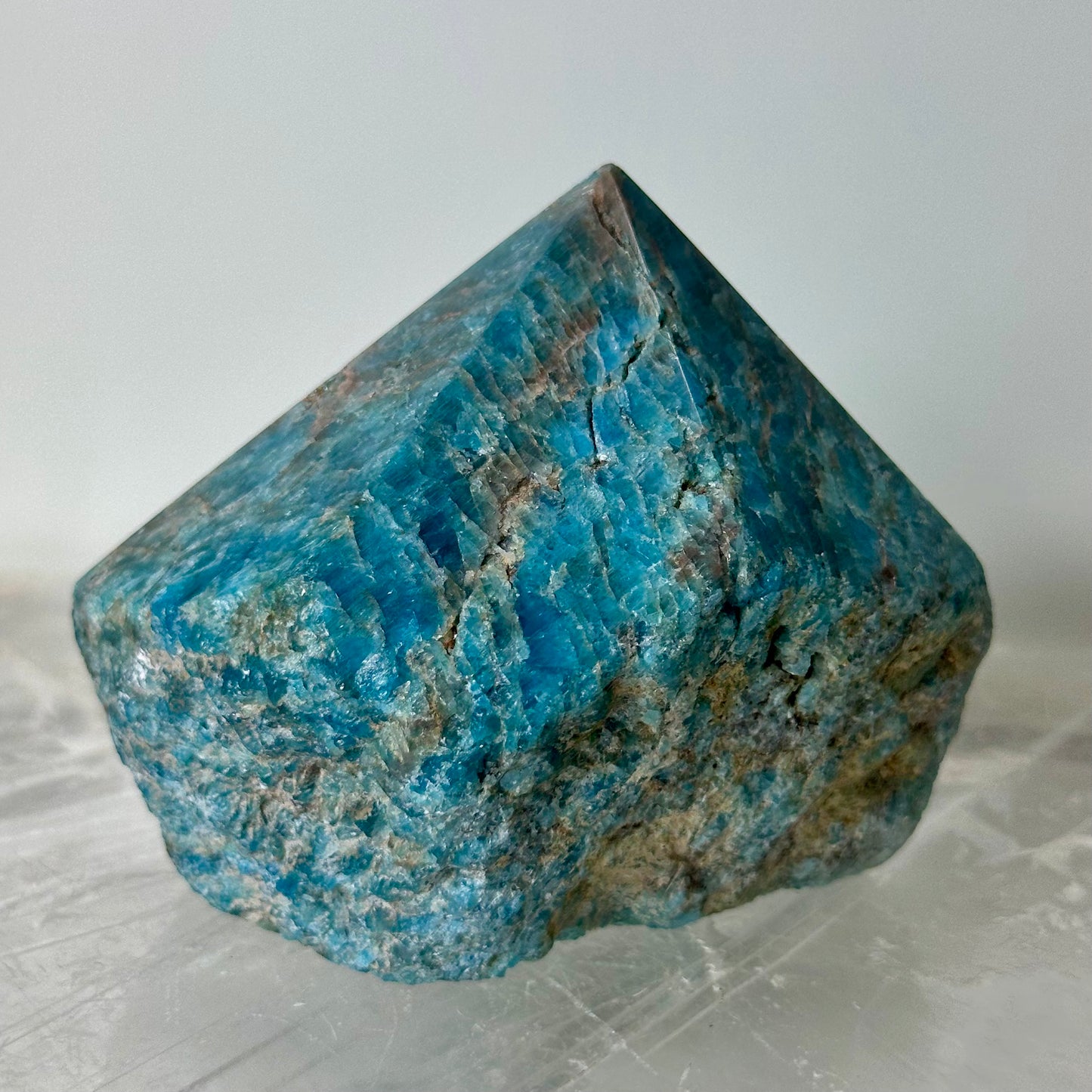 Blue Appetite Generator