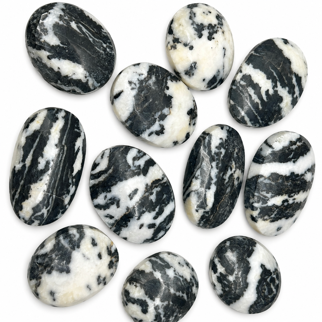 Zebra Jasper Palms