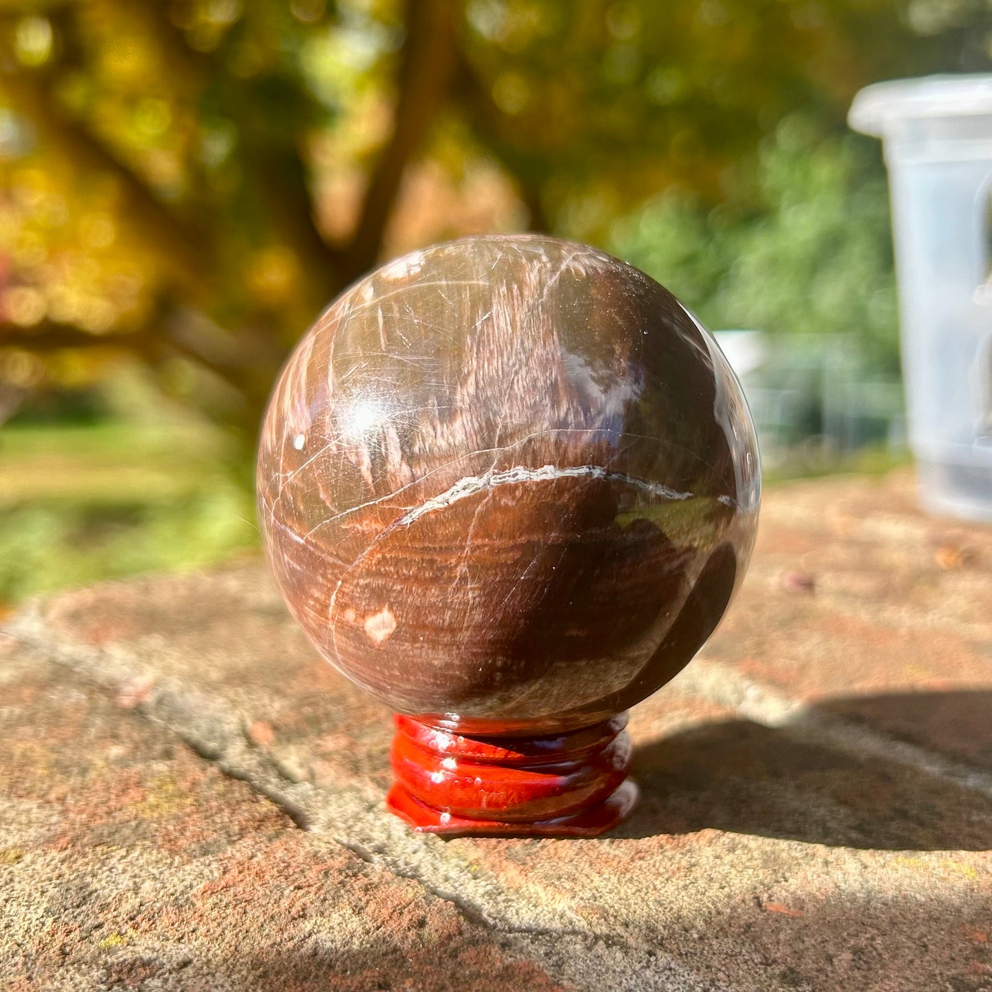 Fossilised Wood Sphere