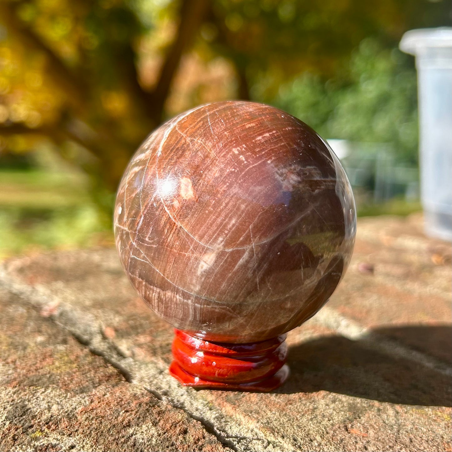 Fossilised Wood Sphere