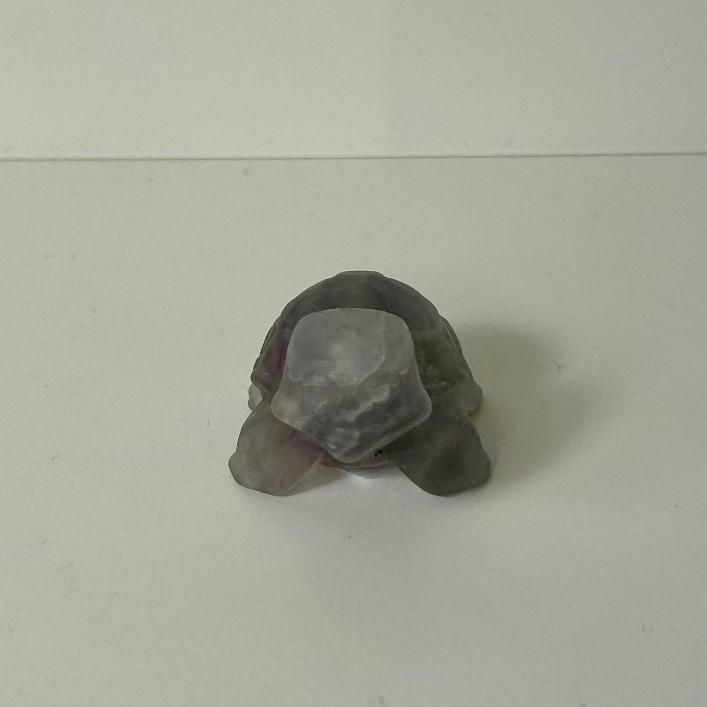 Sale Squirtle Turtle