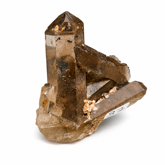 Raw Smokey Quartz Points with Rutile