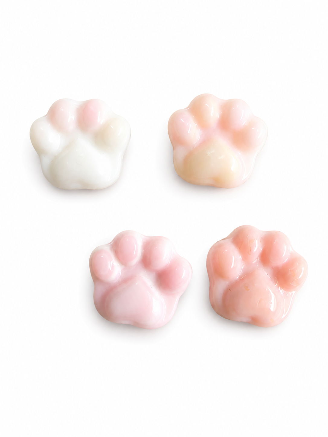 Quince Shell Mini Paws