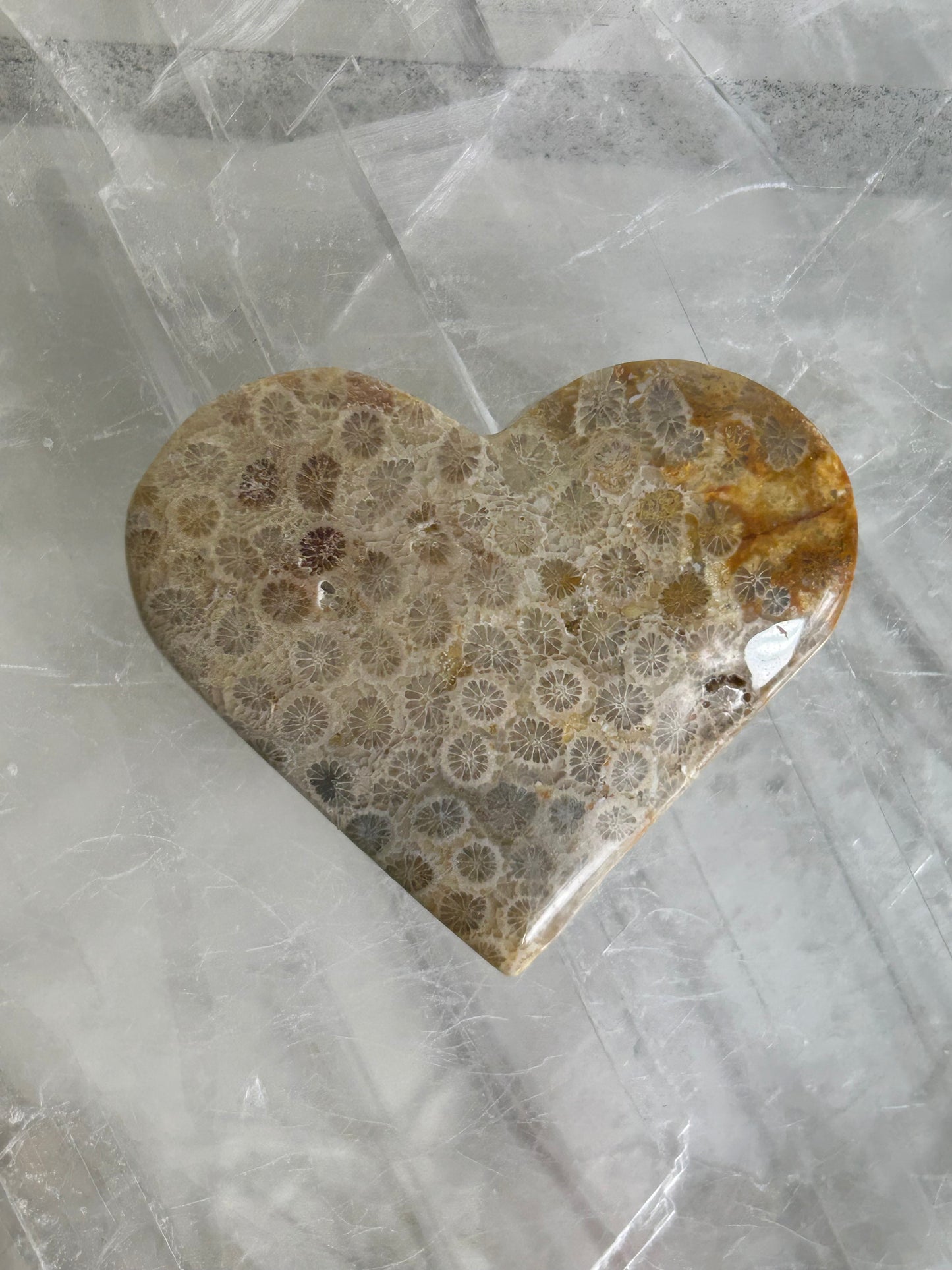 Coral Hearts
