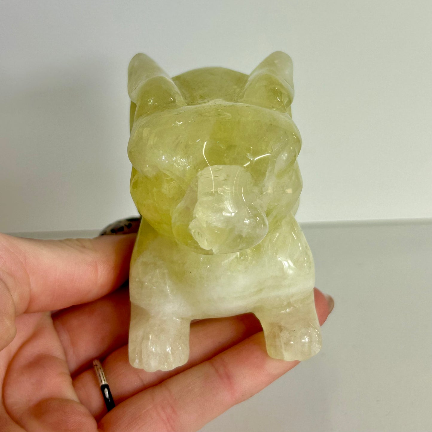 Rabbit/hare Carvings