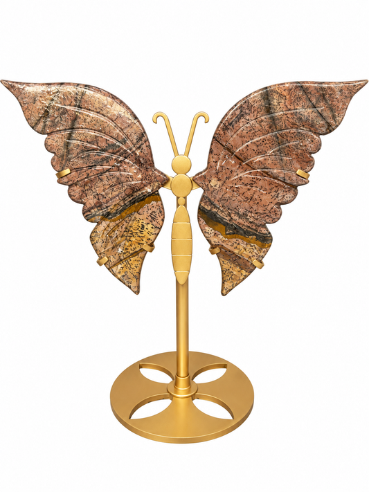 Picture Jasper Butterfly