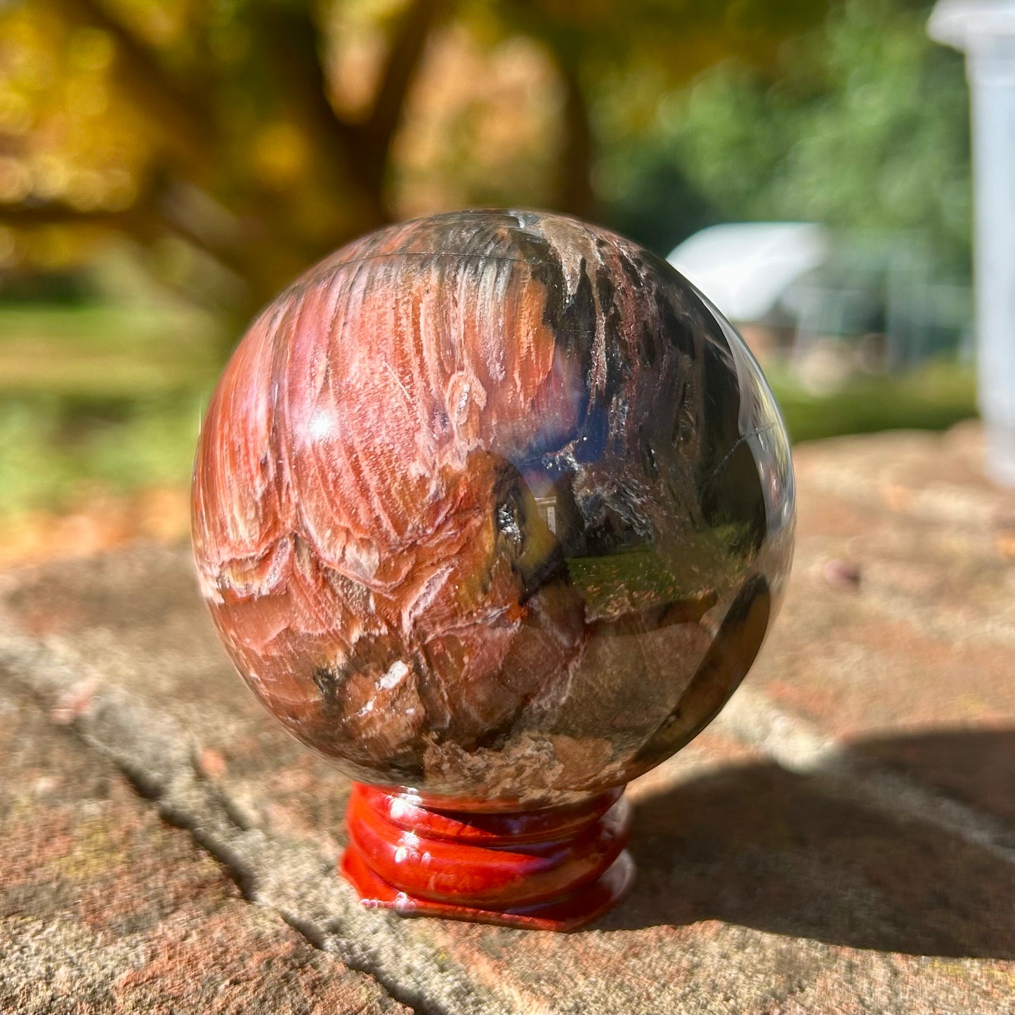 Fossilised Wood Sphere
