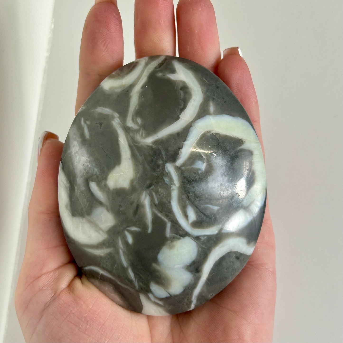 Shell Jasper Palms