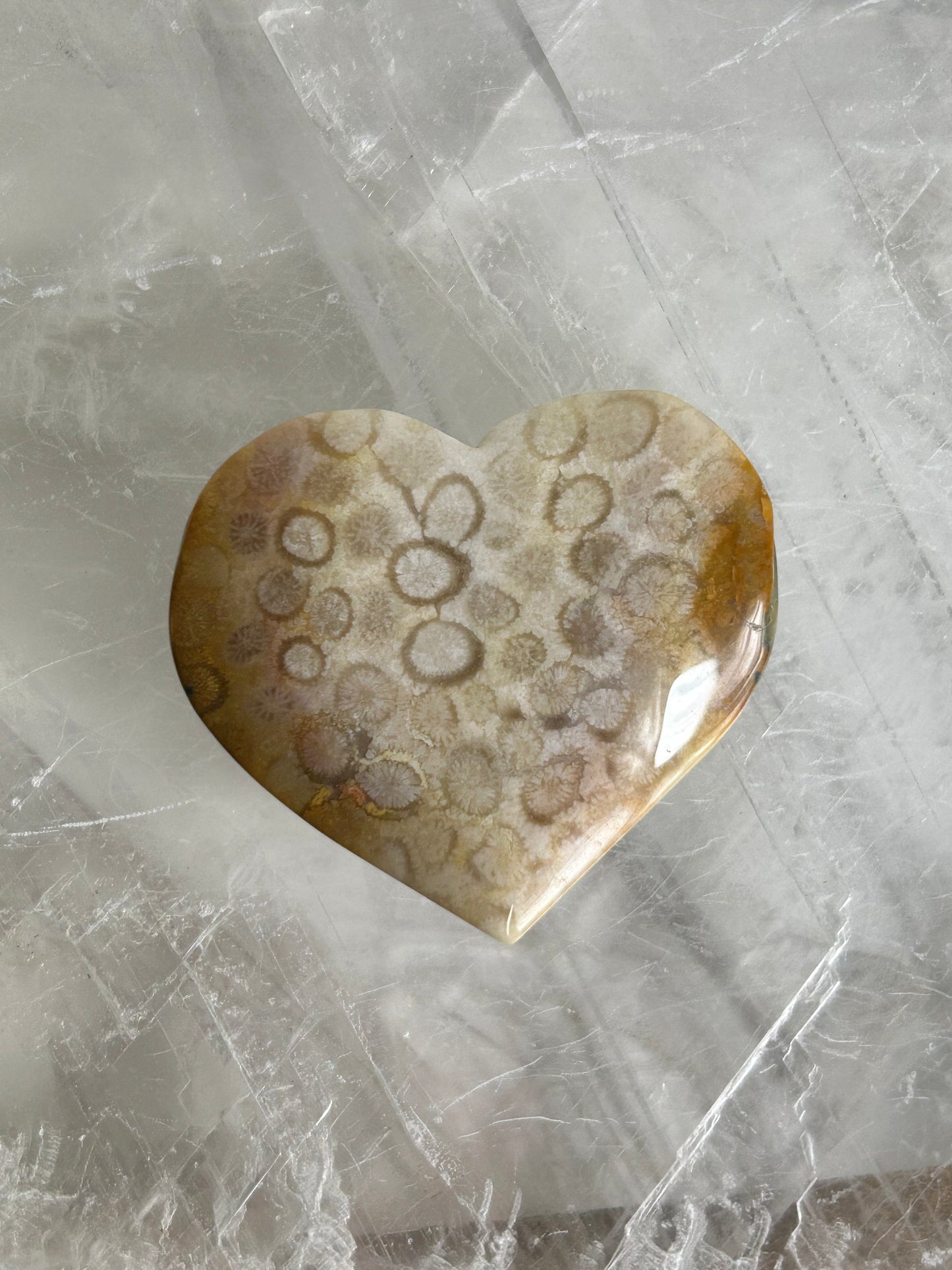 Coral Hearts
