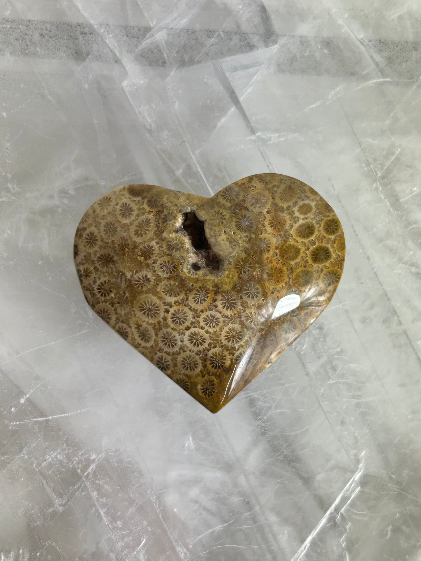 Coral Hearts