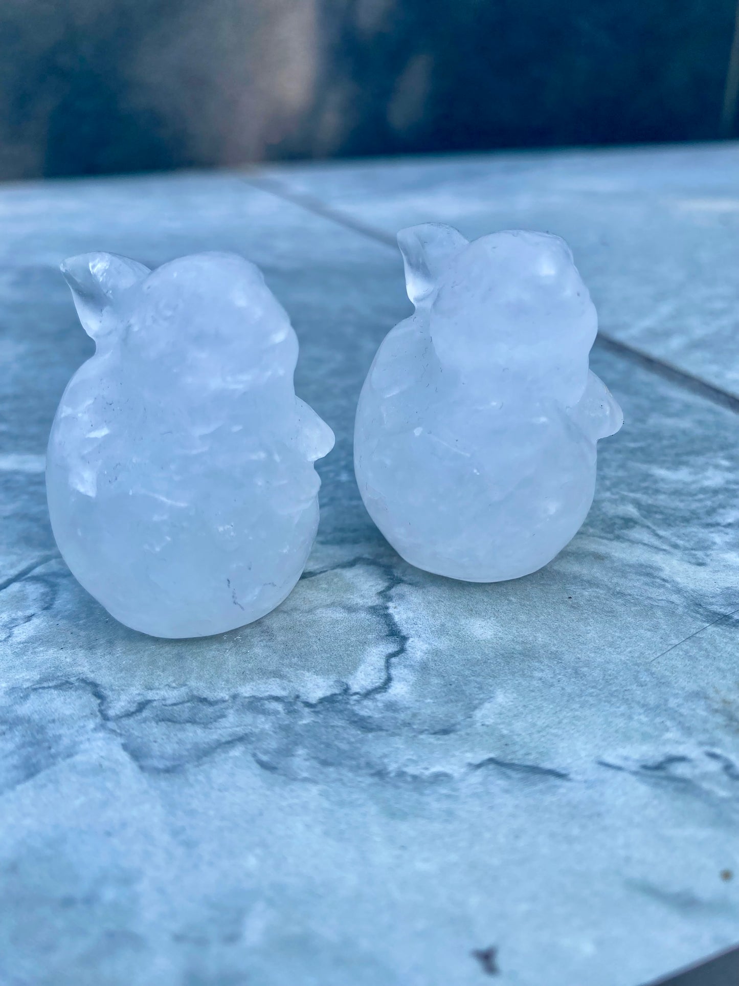 Rabbit Carvings