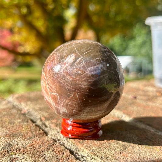 Fossilised Wood Sphere