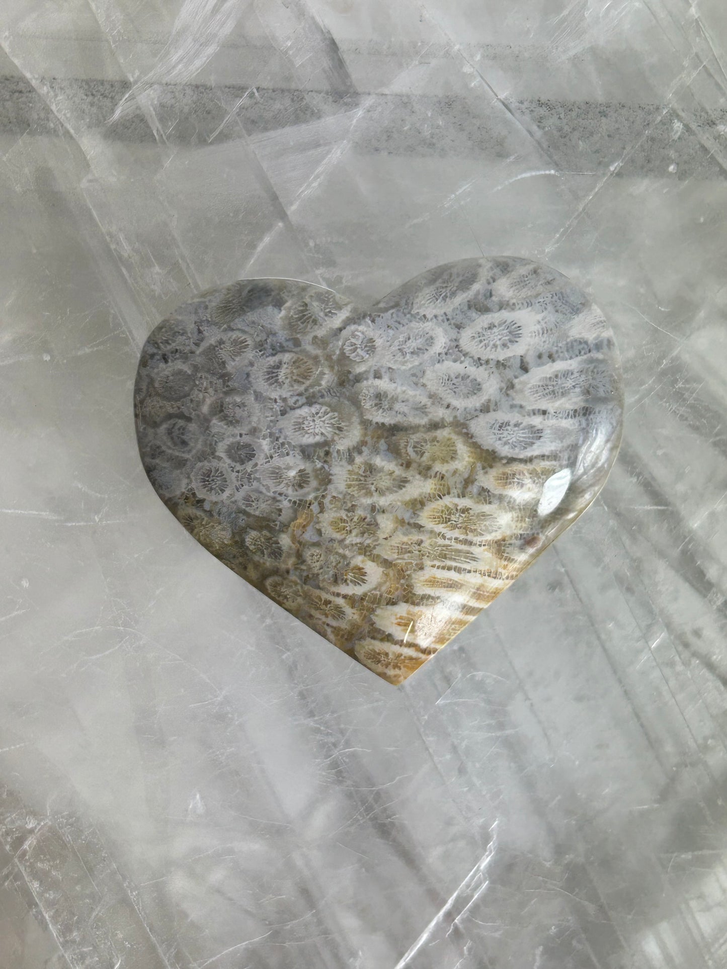 Coral Hearts