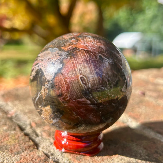 Fossilised Wood Sphere