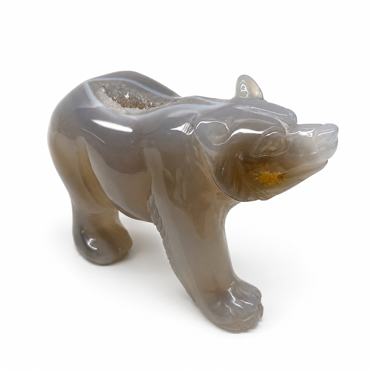 Agate Bear Craving