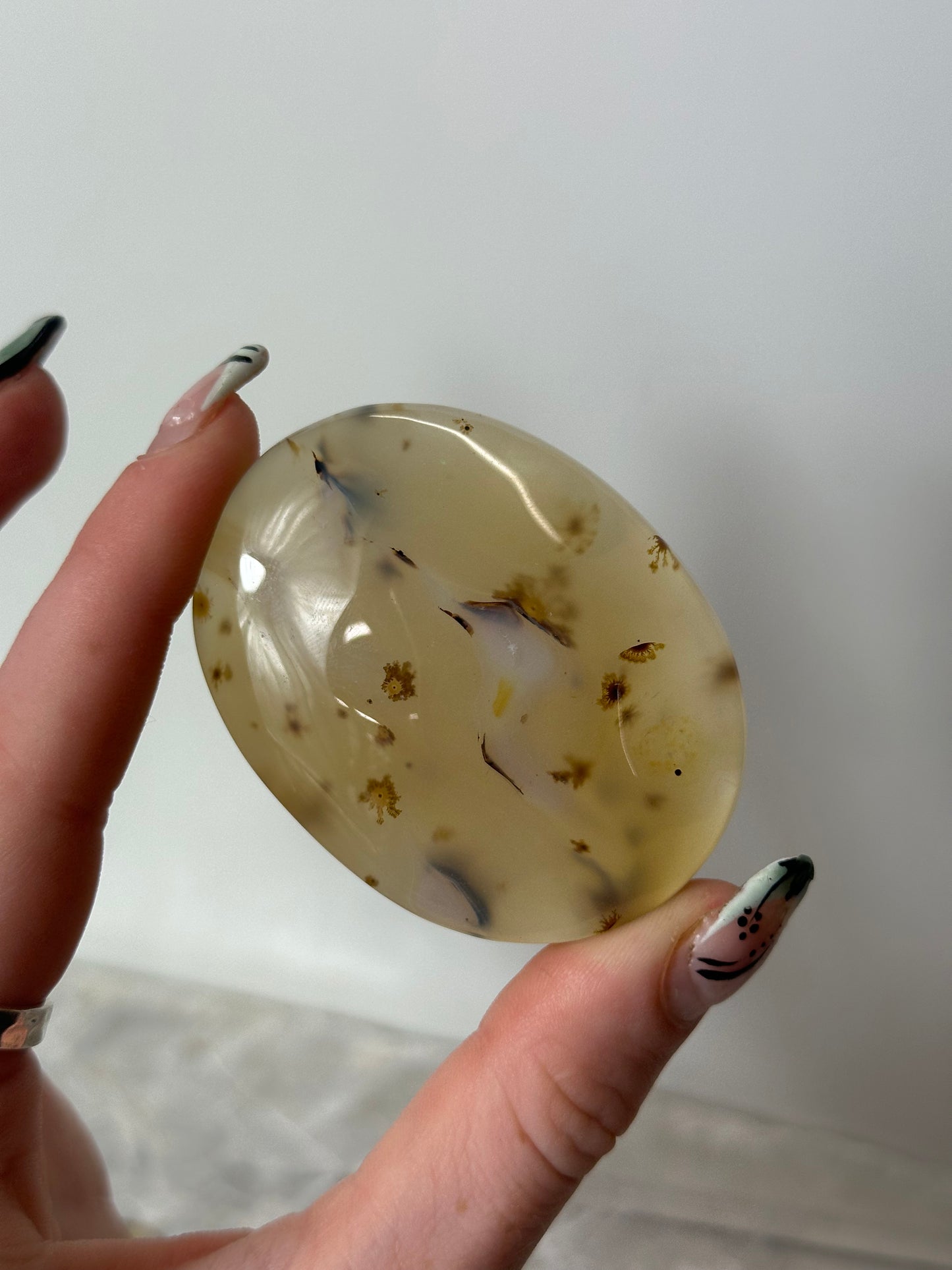 Dentric Agate Palm