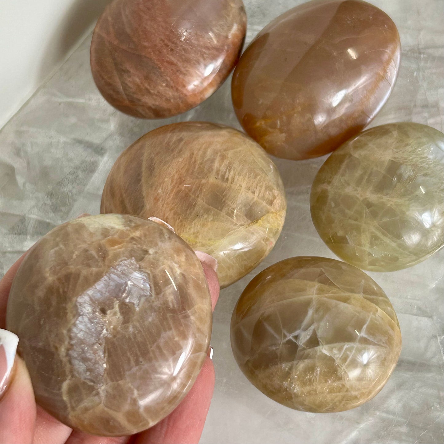 Peach Moonstone Palms