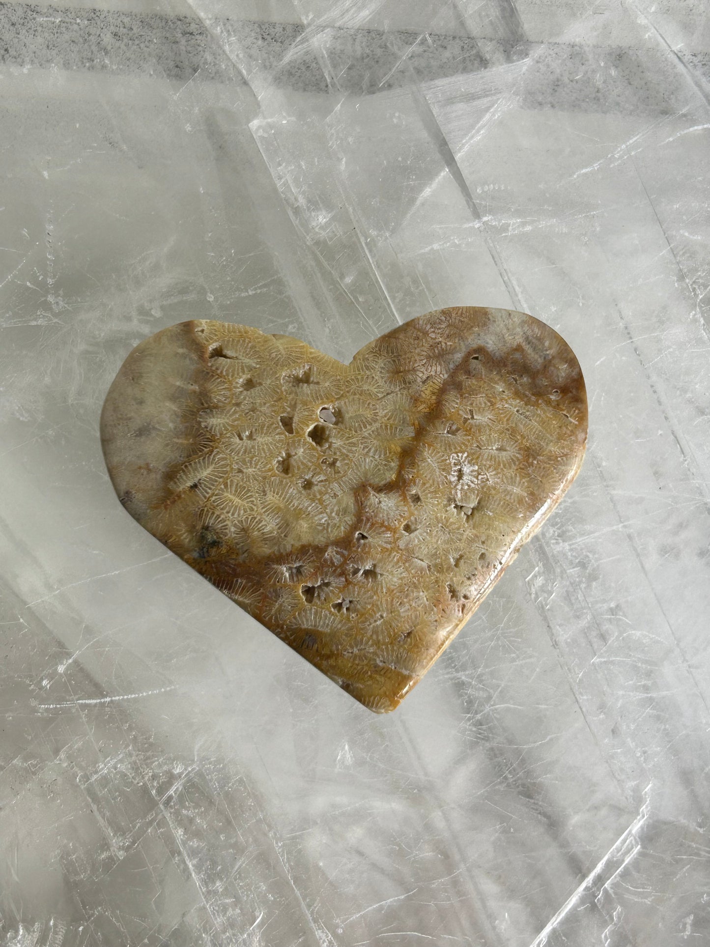 Coral Hearts