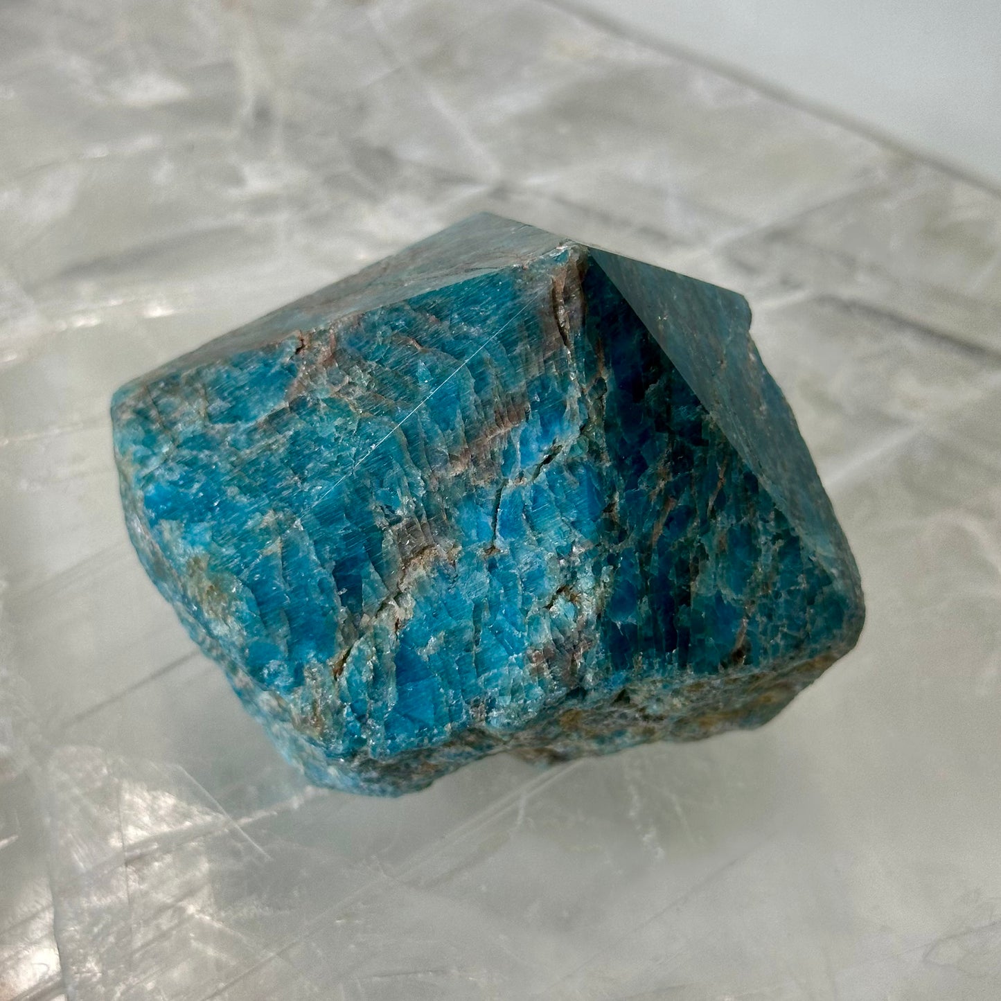 Blue Appetite Generator