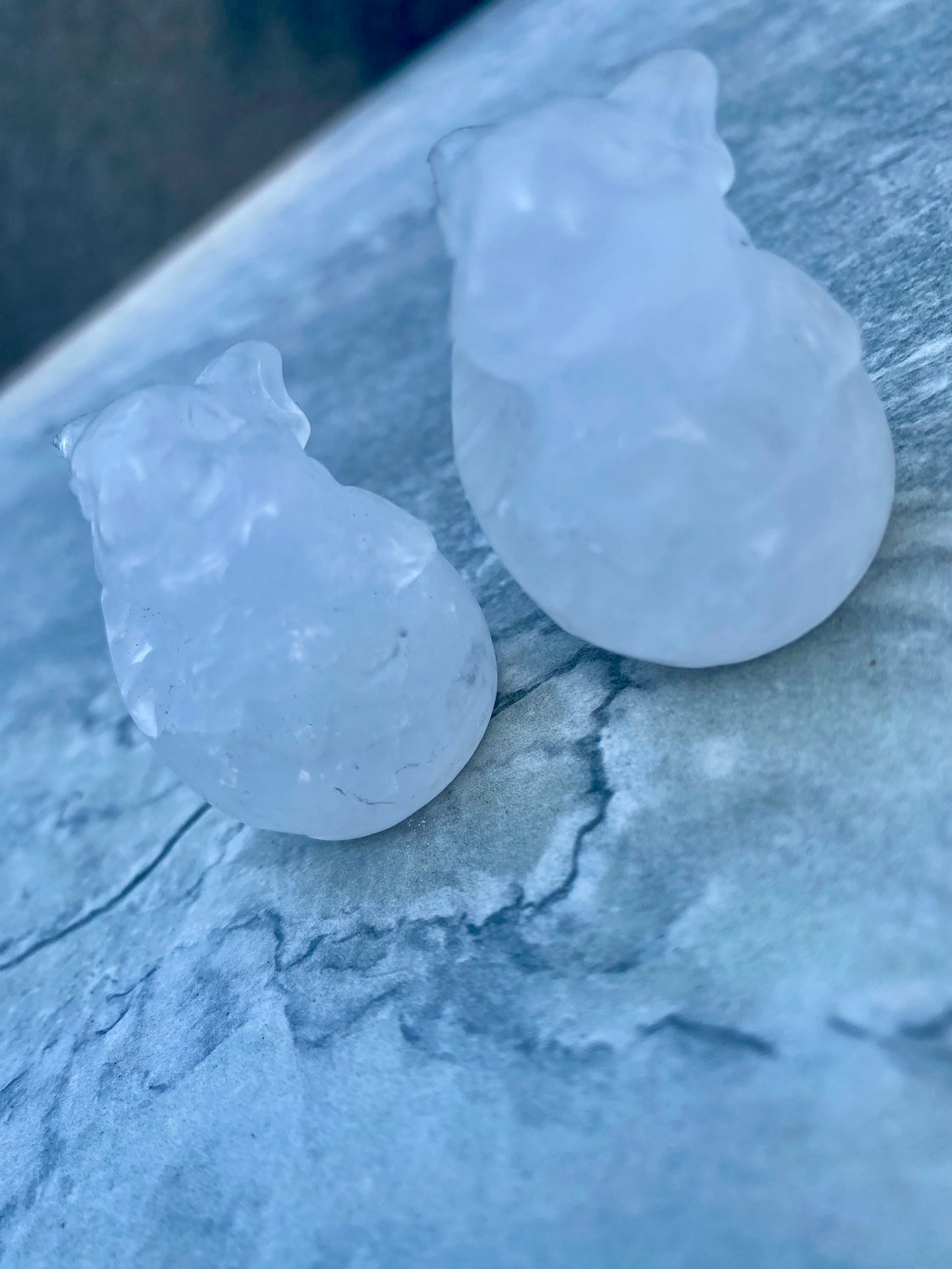 Rabbit Carvings