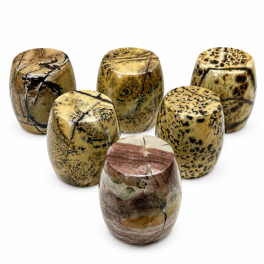 Picture Jasper Barrels