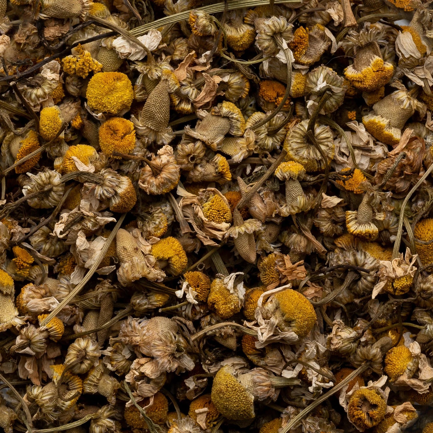 Chamomile
