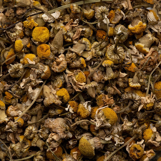 Chamomile