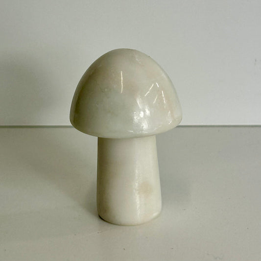 White Jade Mushroom