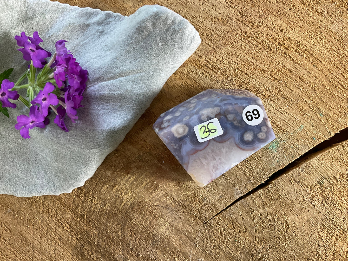 Purple Flower Agate Free Form