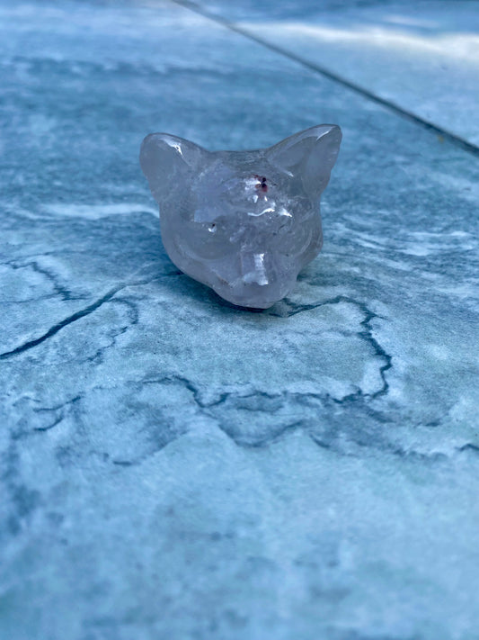 Cat Carvings